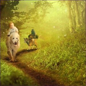 Animal Path Healing Reiki