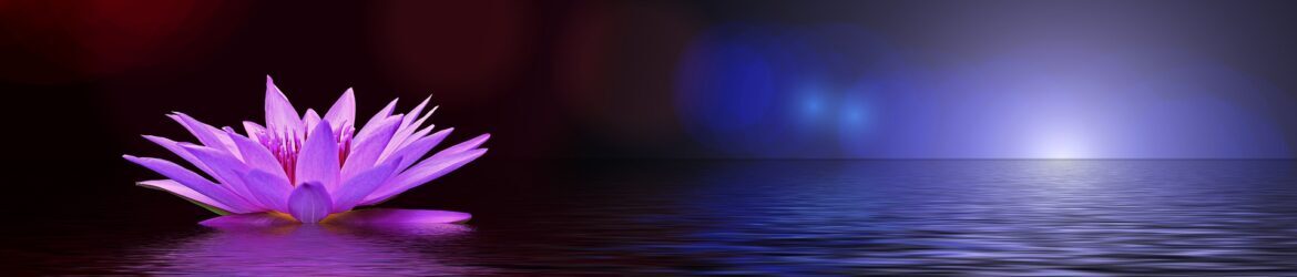 cropped-background-2330743_1920.jpg
