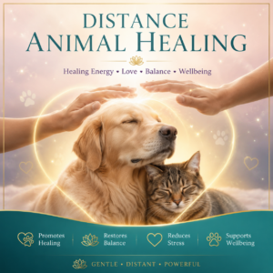 Distance Healing: Animal Reiki Session